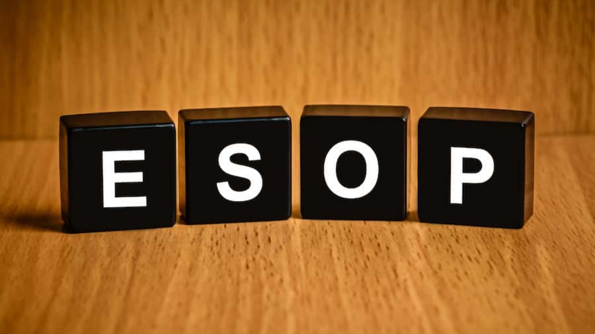 Shares and Shareholders: Employees Shares Ownership Scheme
